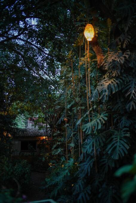 Apartamento Casa Xanadu Tepoztlán Exterior foto